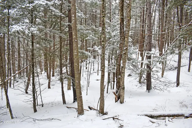 $37,500 | 13 Carriage Knolls Road, Chester, NY 12817