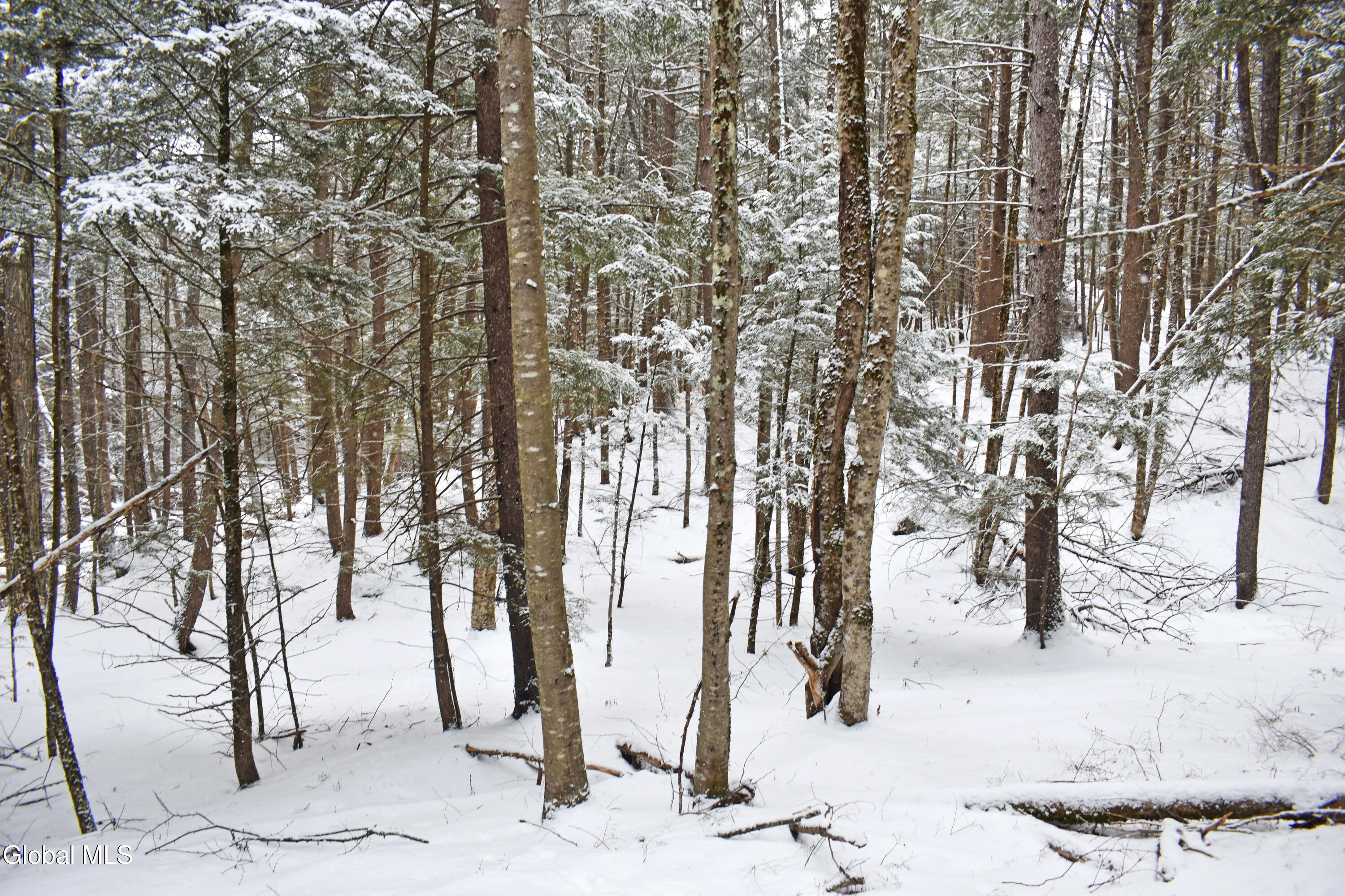13 Carriage Knolls Road Chester, NY 12817 - Photo 10 of 16 DSC_0341