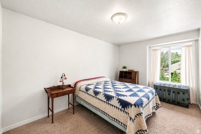 148 Station Street Sandy, UT 84070 - Photo 14 of 22