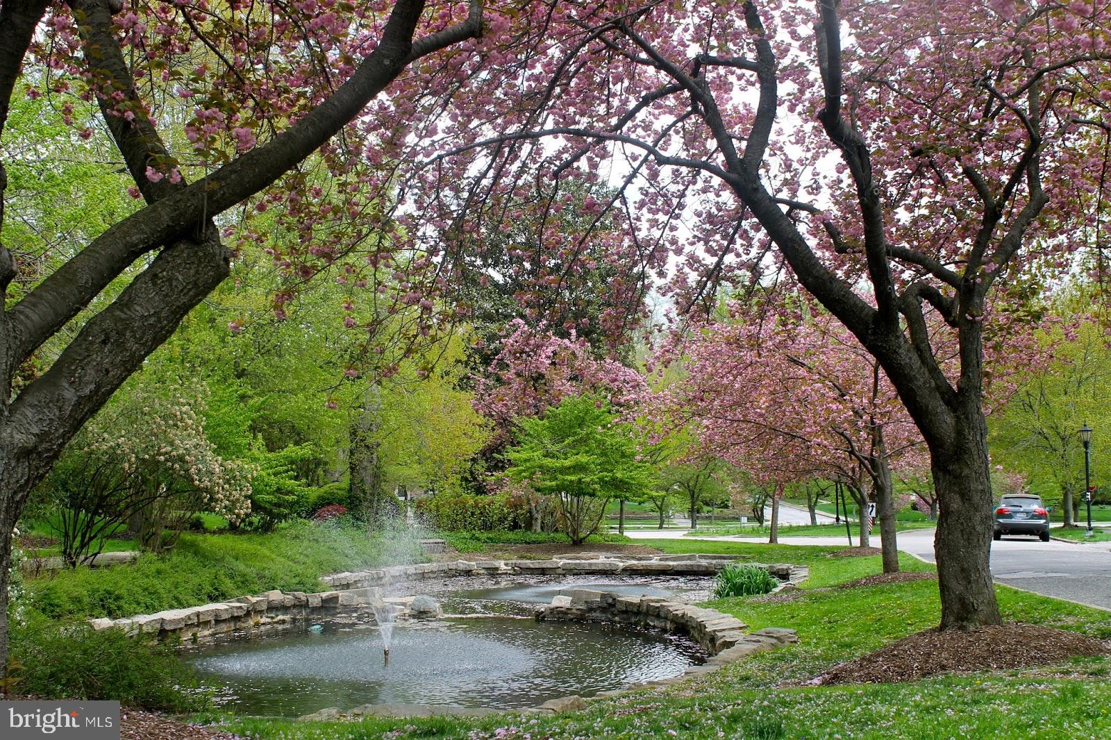 307 Broadmoor Road Baltimore, MD 21212 - Photo 3 of 55 The homeland lakes are the center of the community
