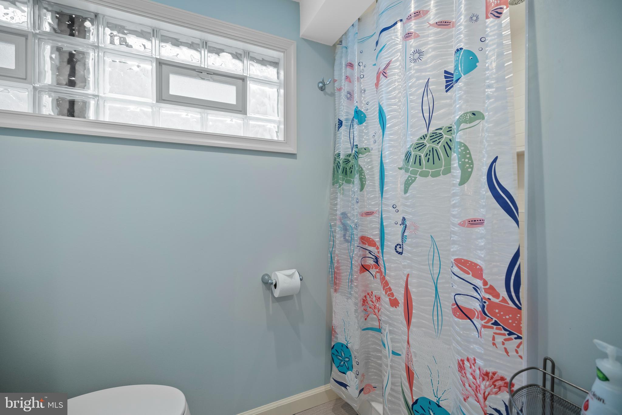 307 Broadmoor Road Baltimore, MD 21212 - Photo 44 of 55