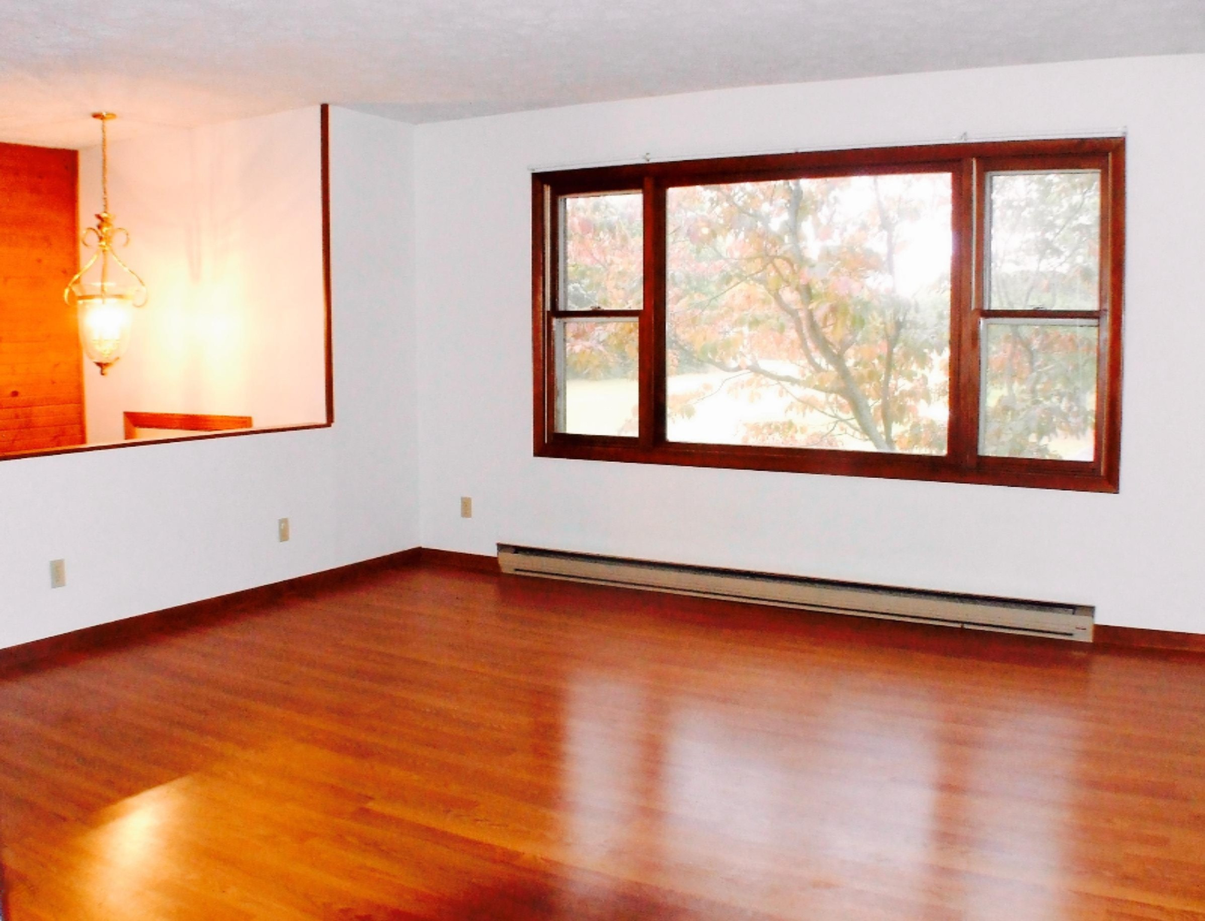6026 North Coloma Road Coloma, MI 49038 - Photo 2 of 16 DSCF9954
