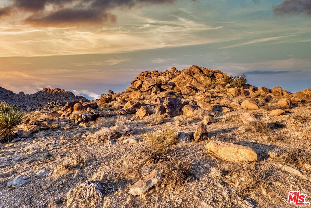 63131 Rocking Chair Road Joshua Tree, CA 92252 - Photo 61 of 66
