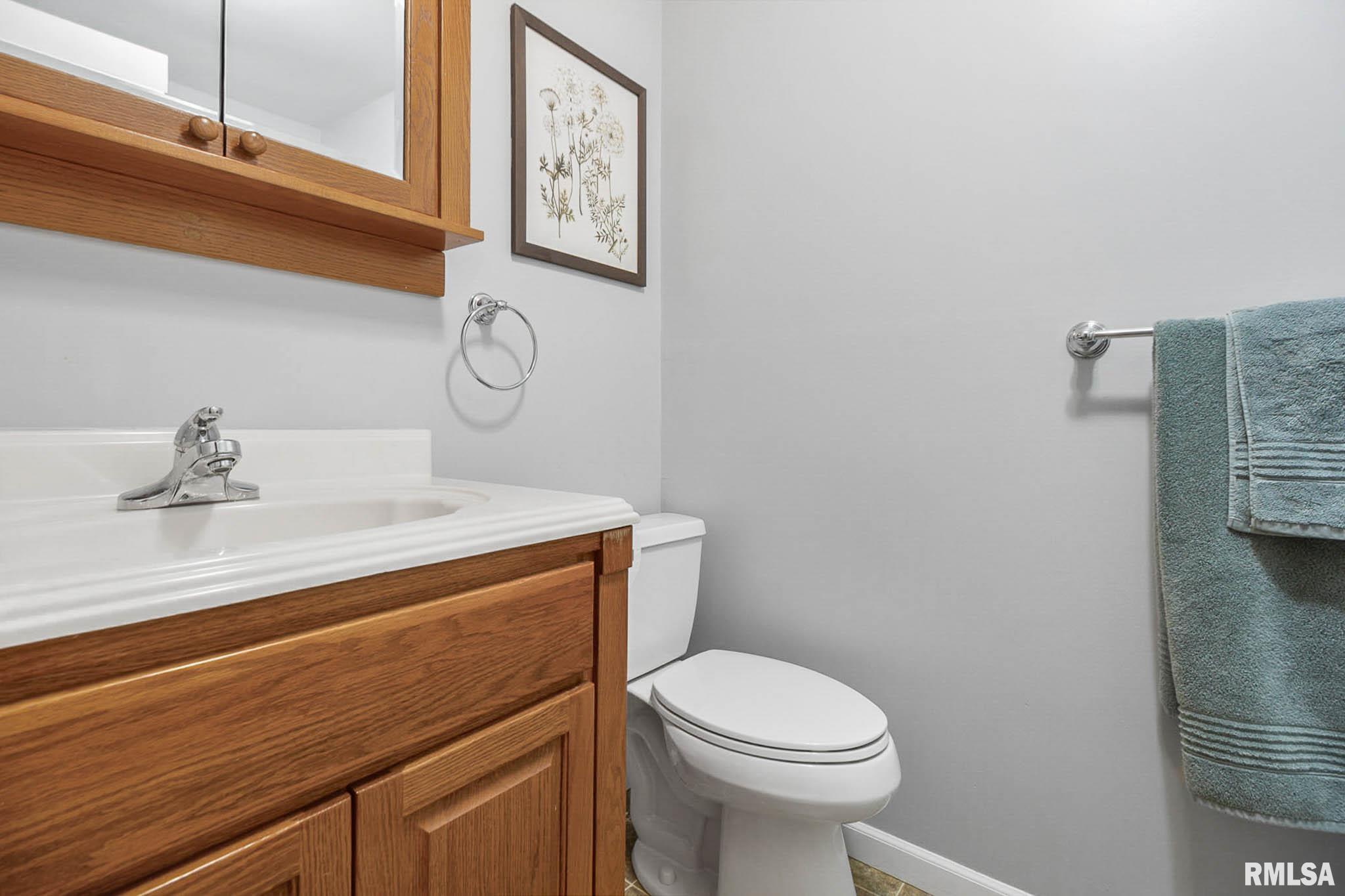 124 Spring Arbor Drive Carbondale, IL 62902 - Photo 25 of 41