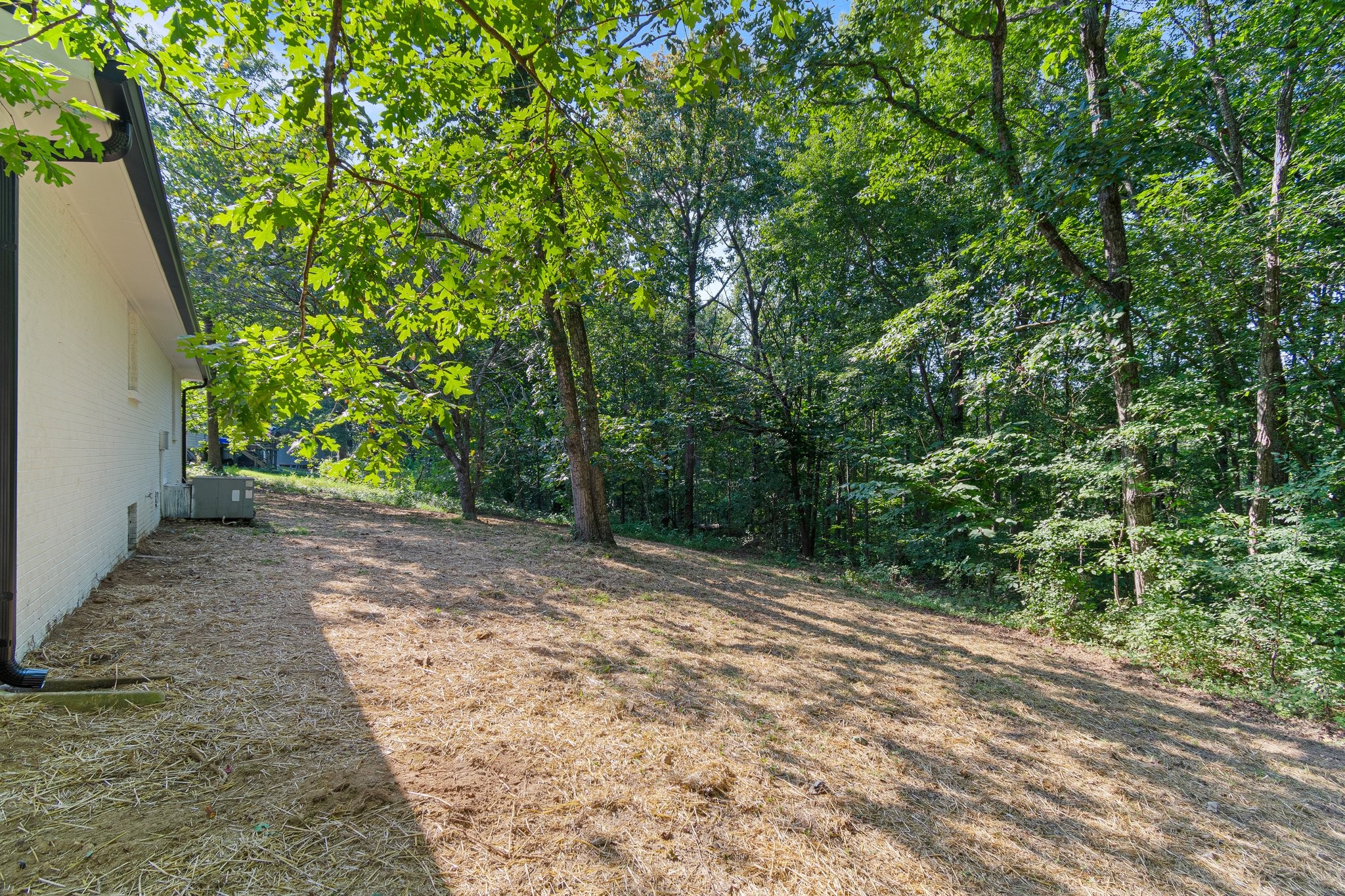 6167 Parker Road Lyles, TN 37098 - Photo 28 of 28 a view of a yard with plants and trees