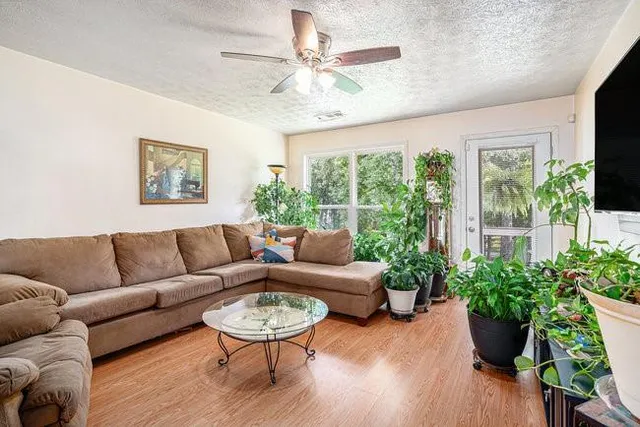 a living room with furniture potted plant and a large window