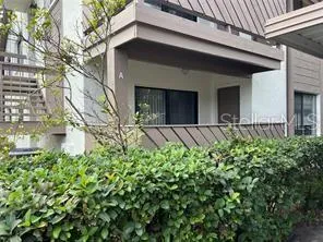 a house with a small yard plants and large tree