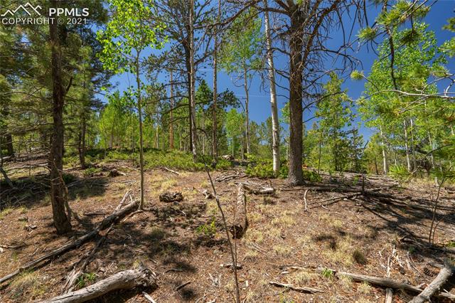917 Princess Road Cripple Creek, CO 80813 - Photo 26 of 47 Gallery Image 26