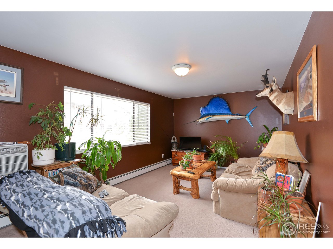 809 East Drake Road, Unit 109 Fort Collins, CO 80525 - Photo 8 of 12 Gallery Image 8