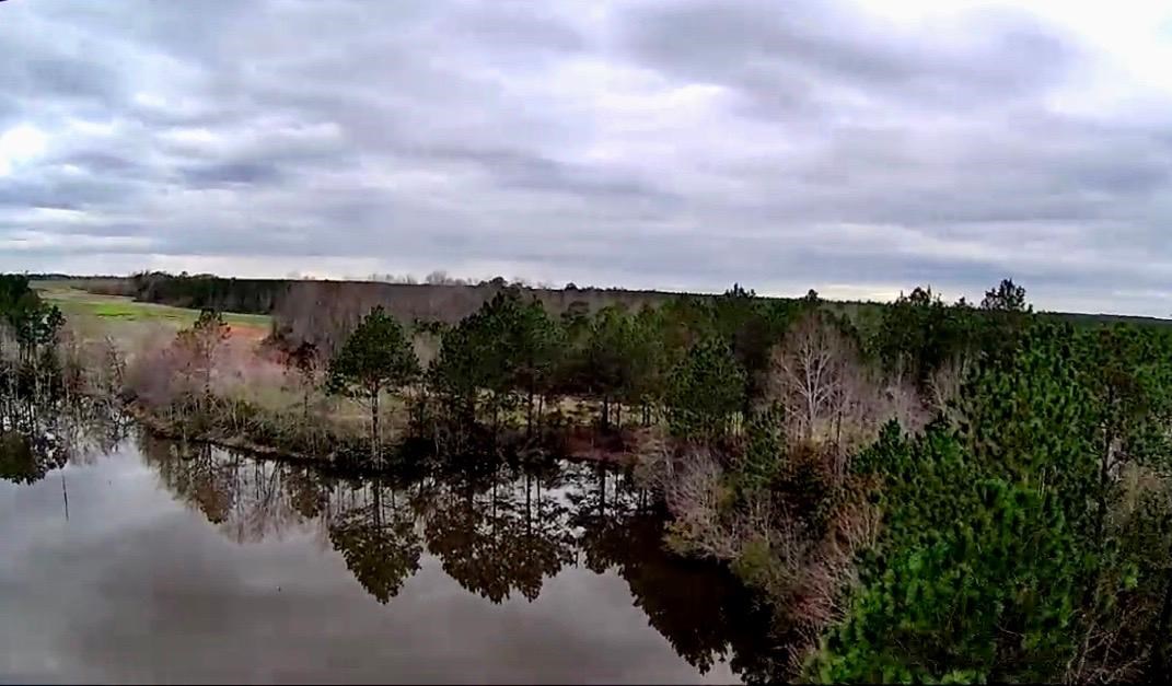 295 Daisy Road Fitzgerald, GA 31750 - Photo 12 of 12 Gallery Image 12