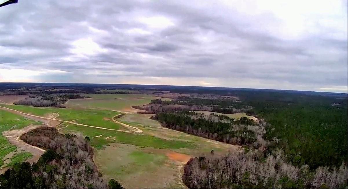 295 Daisy Road Fitzgerald, GA 31750 - Photo 7 of 12 Gallery Image 7