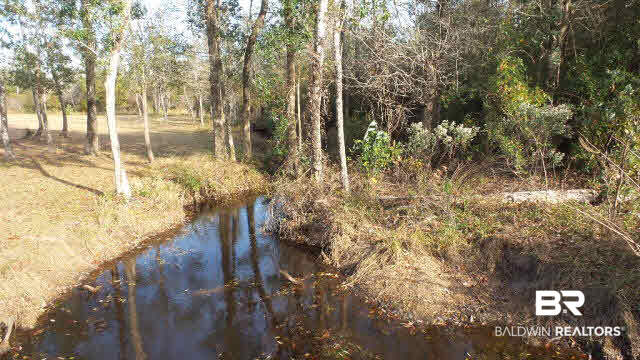 8 Highway 182 Jay, FL 32565 - Photo 9 of 27