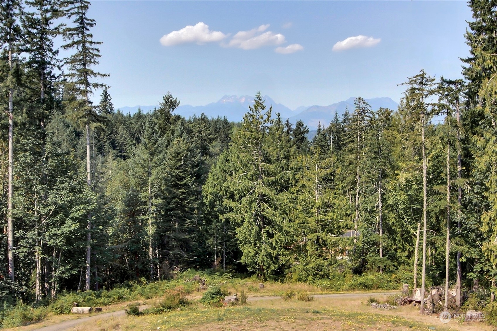 13276 Lester Road Northwest Silverdale, WA 98383 - Photo 4 of 25 Gallery Image 4