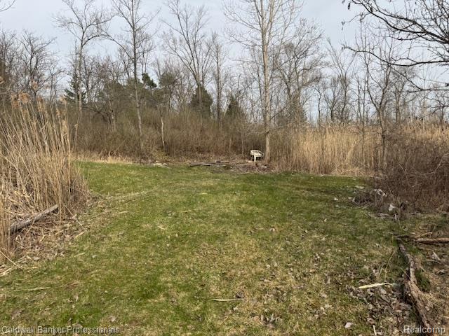 Vl Rattle Run Road St. Clair, MI 48079 - Photo 42 of 45 Gallery Image 42