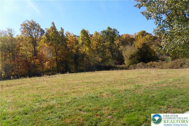 a backyard of a house with trees