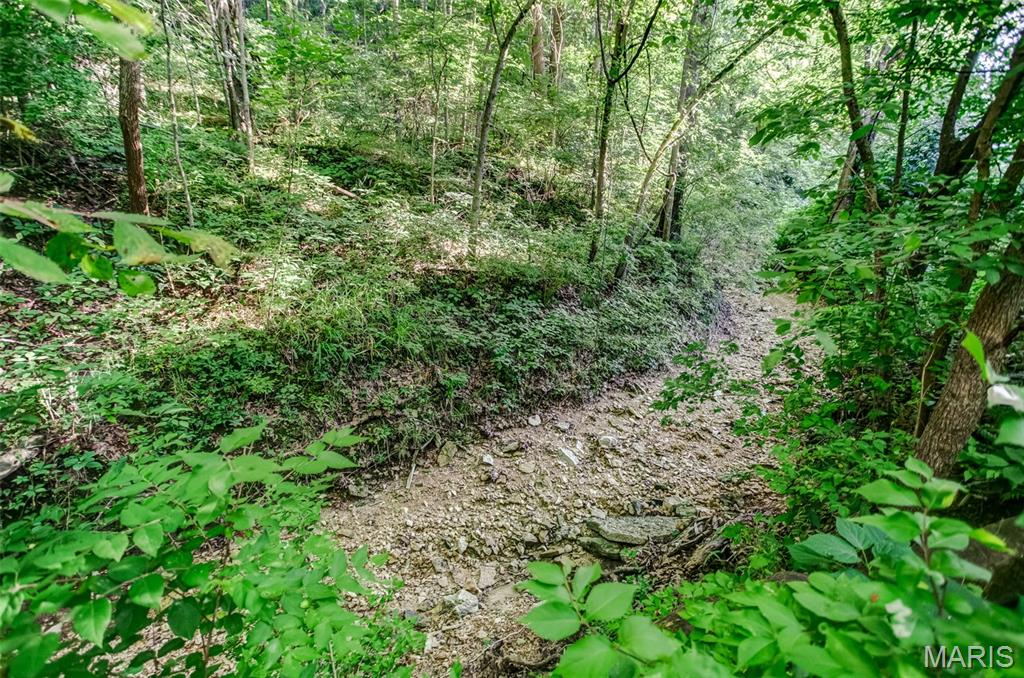 575 Schleeper Hollow Road Hardin, IL 62047 - Photo 33 of 61
