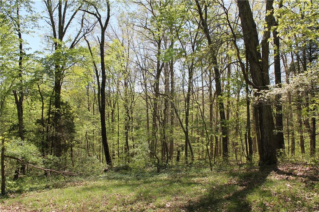 6298 Christiansburg Road Columbus, IN 47201 - Photo 42 of 47 Gallery Image 42