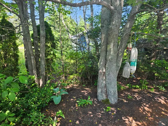 $899,000 | 541 Mason Bay Road, Jonesport, ME 04649