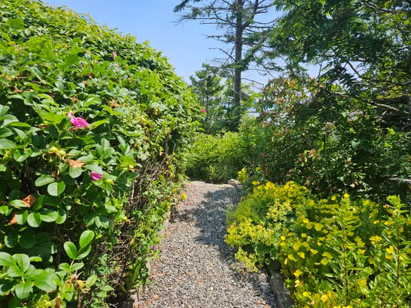 $899,000 | 541 Mason Bay Road, Jonesport, ME 04649