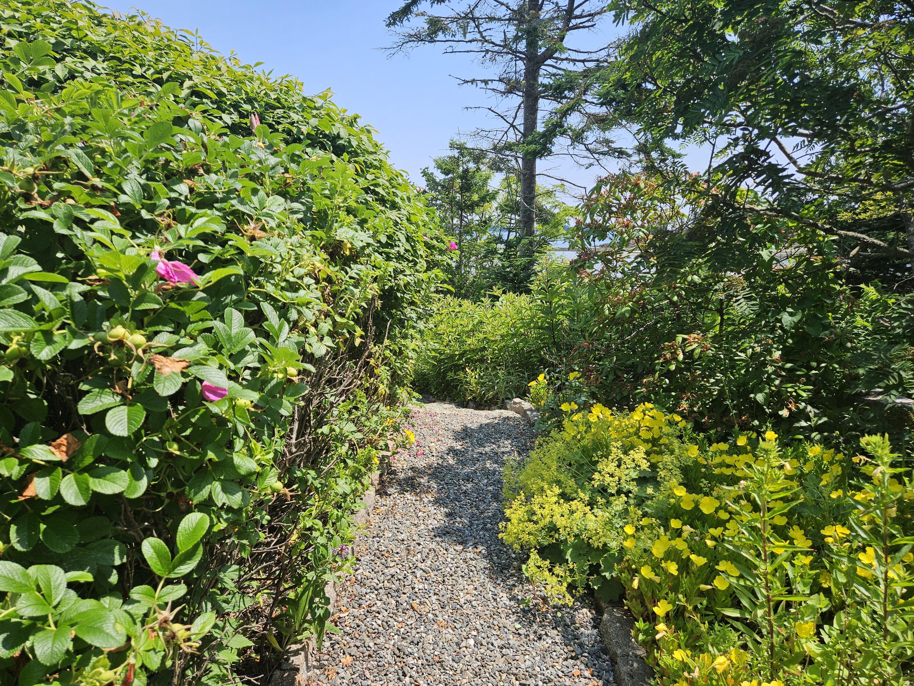 541 Mason Bay Road Jonesport, ME 04649 - Photo 77 of 92 20250716_122215