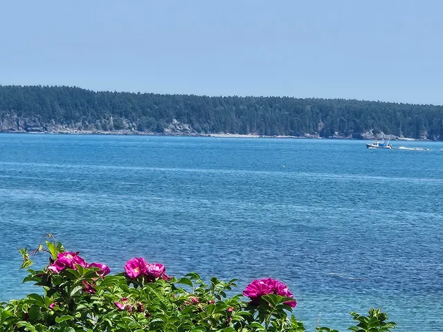 $899,000 | 541 Mason Bay Road, Jonesport, ME 04649