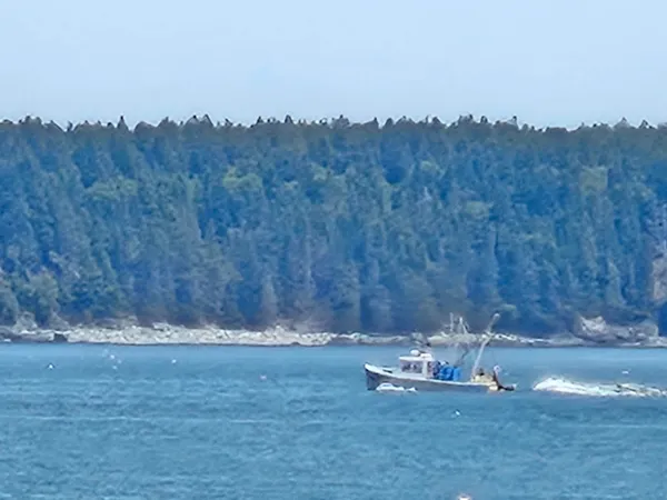 $899,000 | 541 Mason Bay Road, Jonesport, ME 04649
