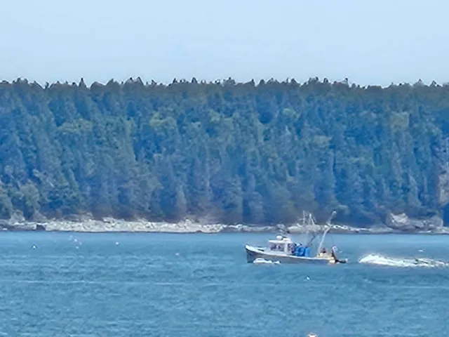 $899,000 | 541 Mason Bay Road, Jonesport, ME 04649