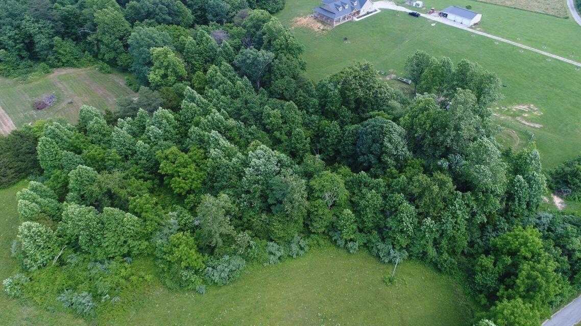100 Tudy Ridge Road Science Hill, KY 42553 - Photo 5 of 9 5