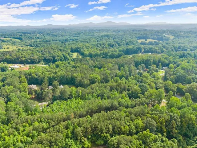 an aerial view of residential houses with outdoor space and trees