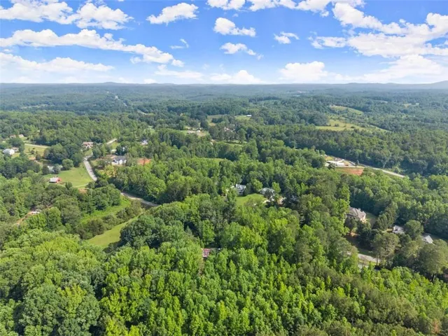a view of a city with lush green forest