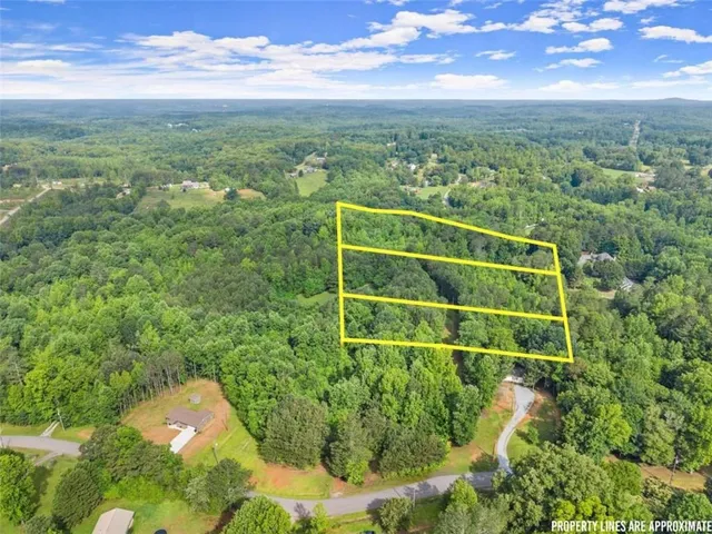 a view of a yard with large trees