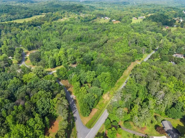 a view of a lush green forest with lots of trees