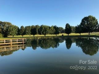 141 Wallaby Road Cherryville, NC 28021 - Photo 11 of 47