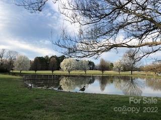 141 Wallaby Road Cherryville, NC 28021 - Photo 35 of 47 a backyard of a house with lots of green space