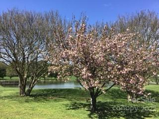 141 Wallaby Road Cherryville, NC 28021 - Photo 36 of 47 a view of backyard with green space