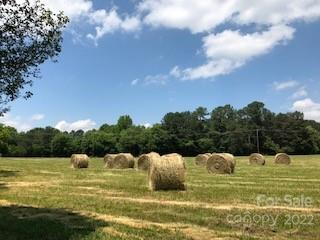 141 Wallaby Road Cherryville, NC 28021 - Photo 38 of 47 a view of a lake view with a garden