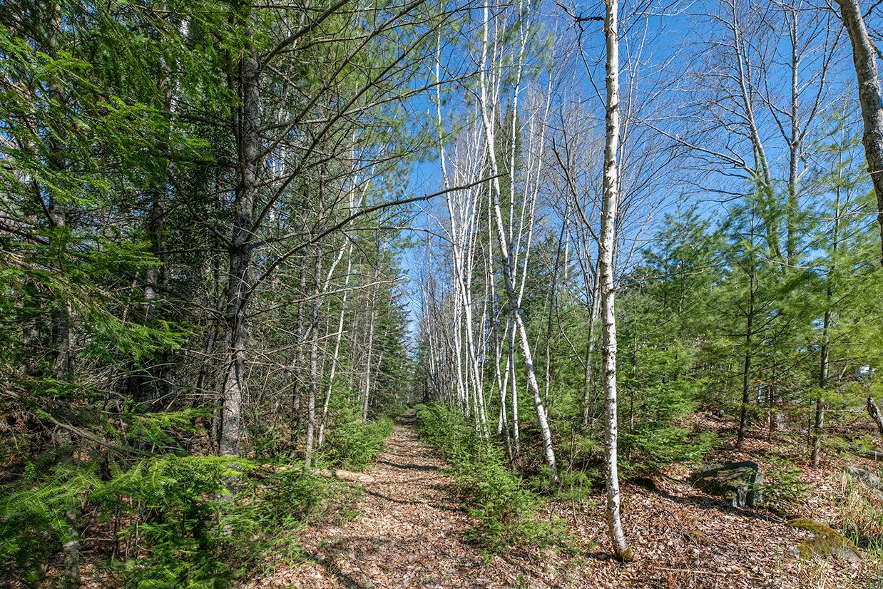 On Loon Lake Road Eagle River, WI 54521 - Photo 11 of 14 Gallery Image 11