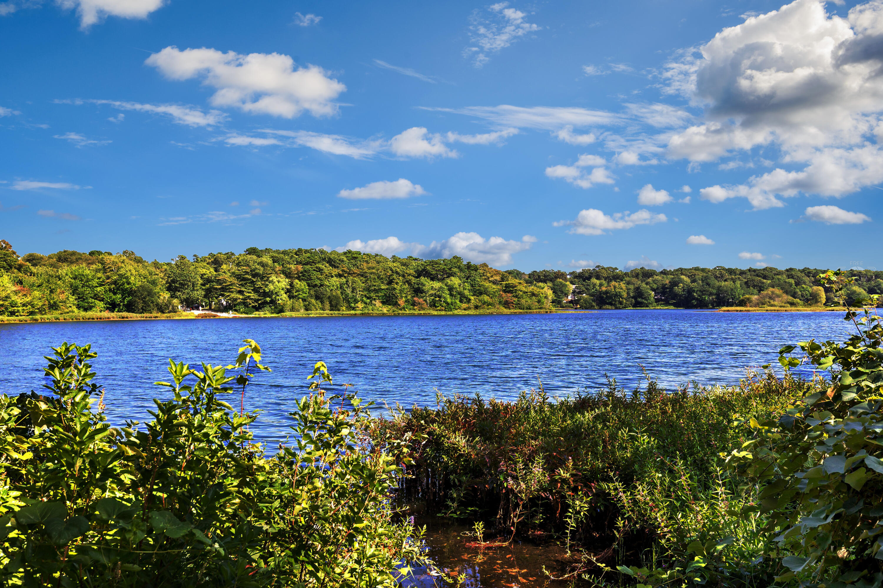 169 Monument Road Orleans, MA 02653 - Photo 2 of 29 1B_Lake