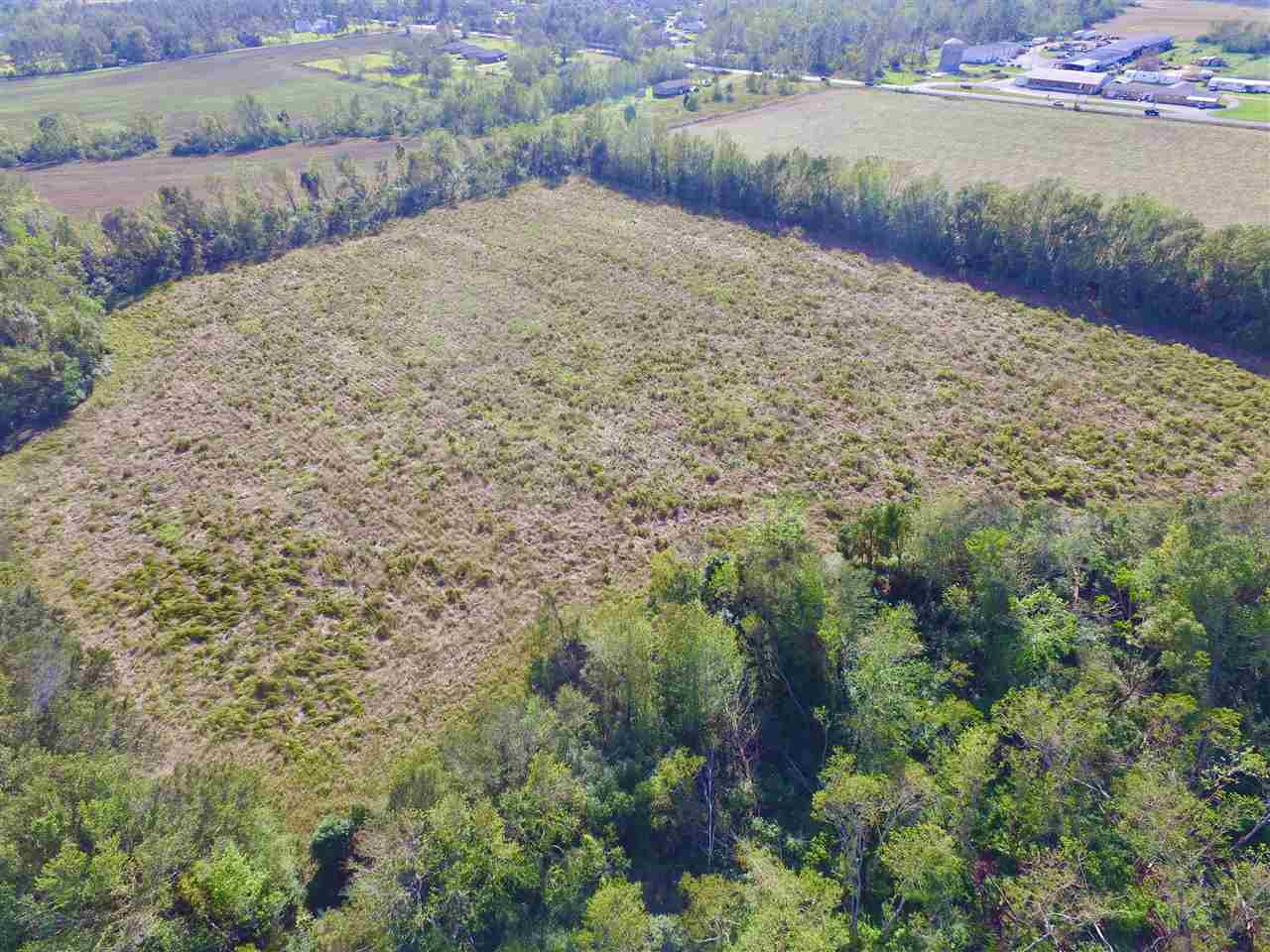 10260 County Road 32 Fairhope, AL 36532 - Photo 6 of 24
