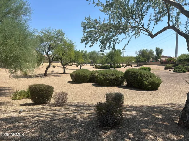 a view of outdoor space with garden
