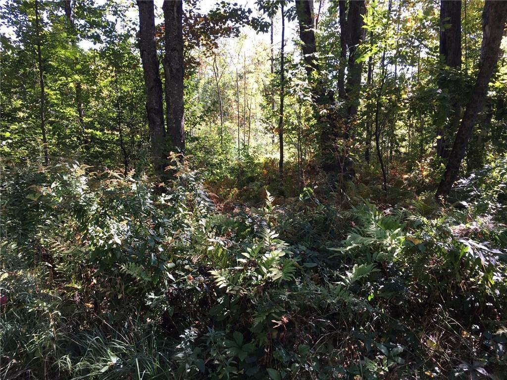 2.5-acres Lords Road North Waterboro, ME 04061 - Photo 5 of 8 Photo