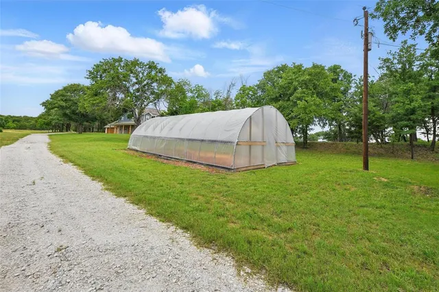 a view of a backyard with tree s