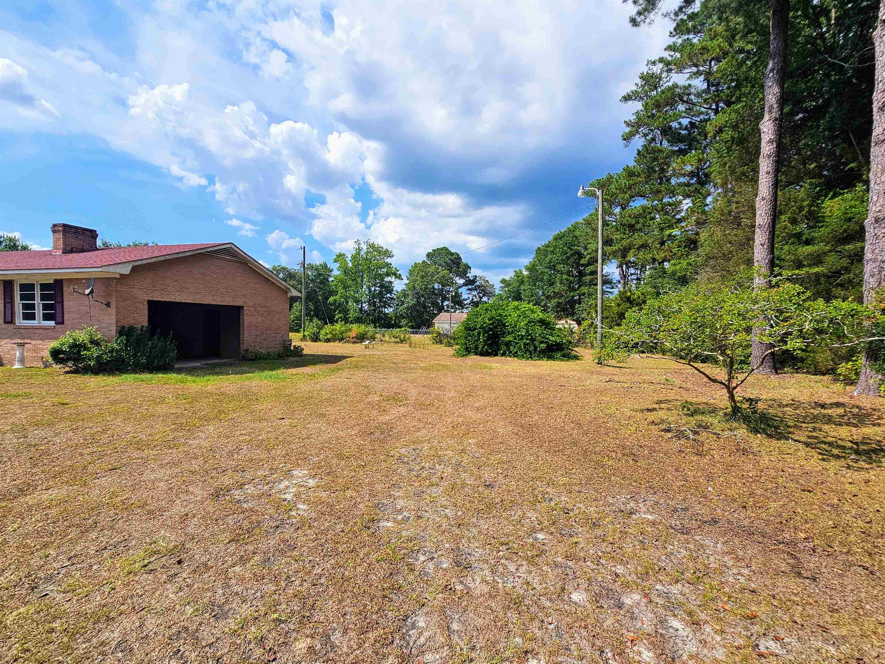 156 Small Road Sellers, SC 29592 - Photo 21 of 32 View of yard