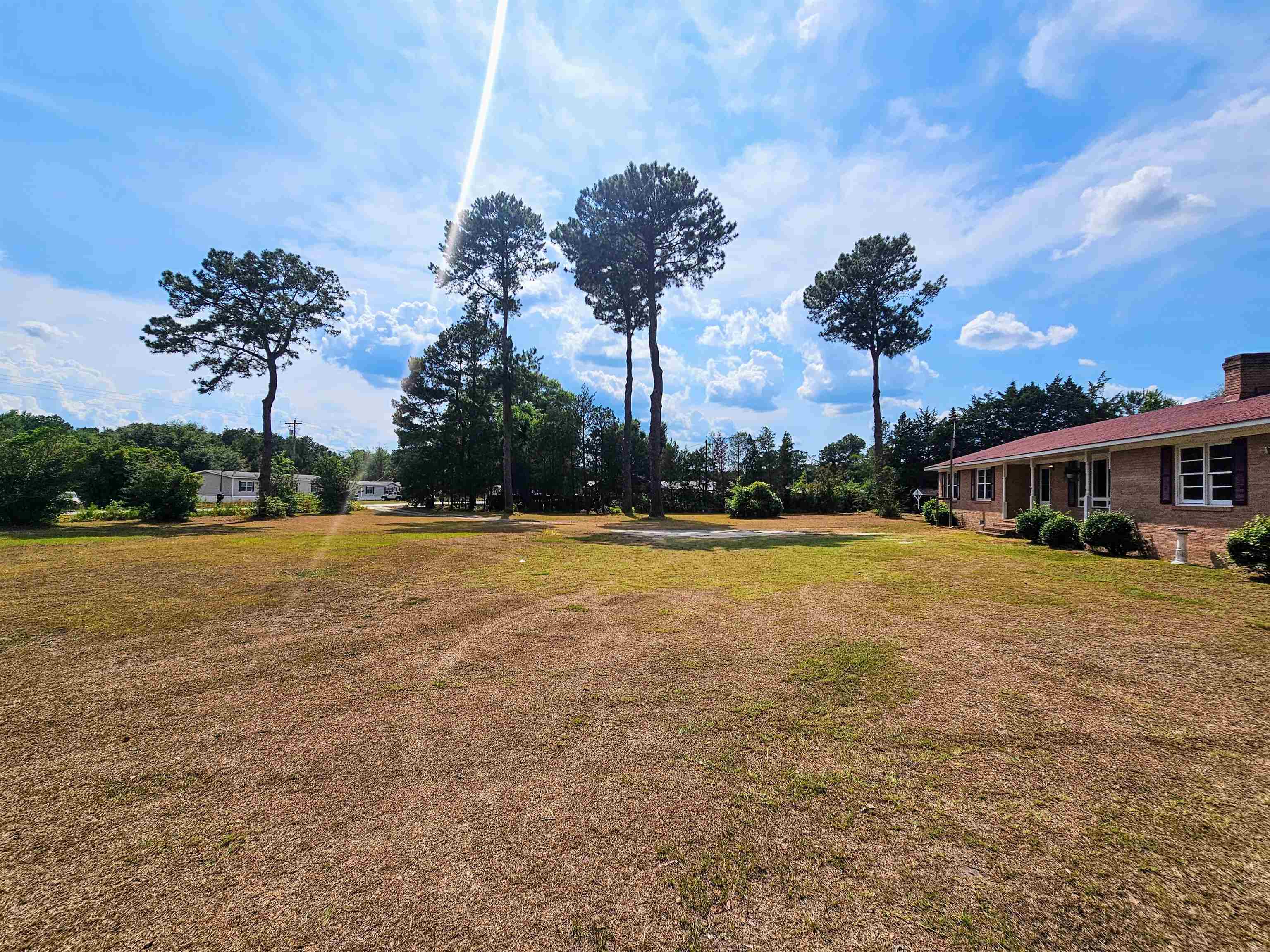 156 Small Road Sellers, SC 29592 - Photo 27 of 32 View of yard