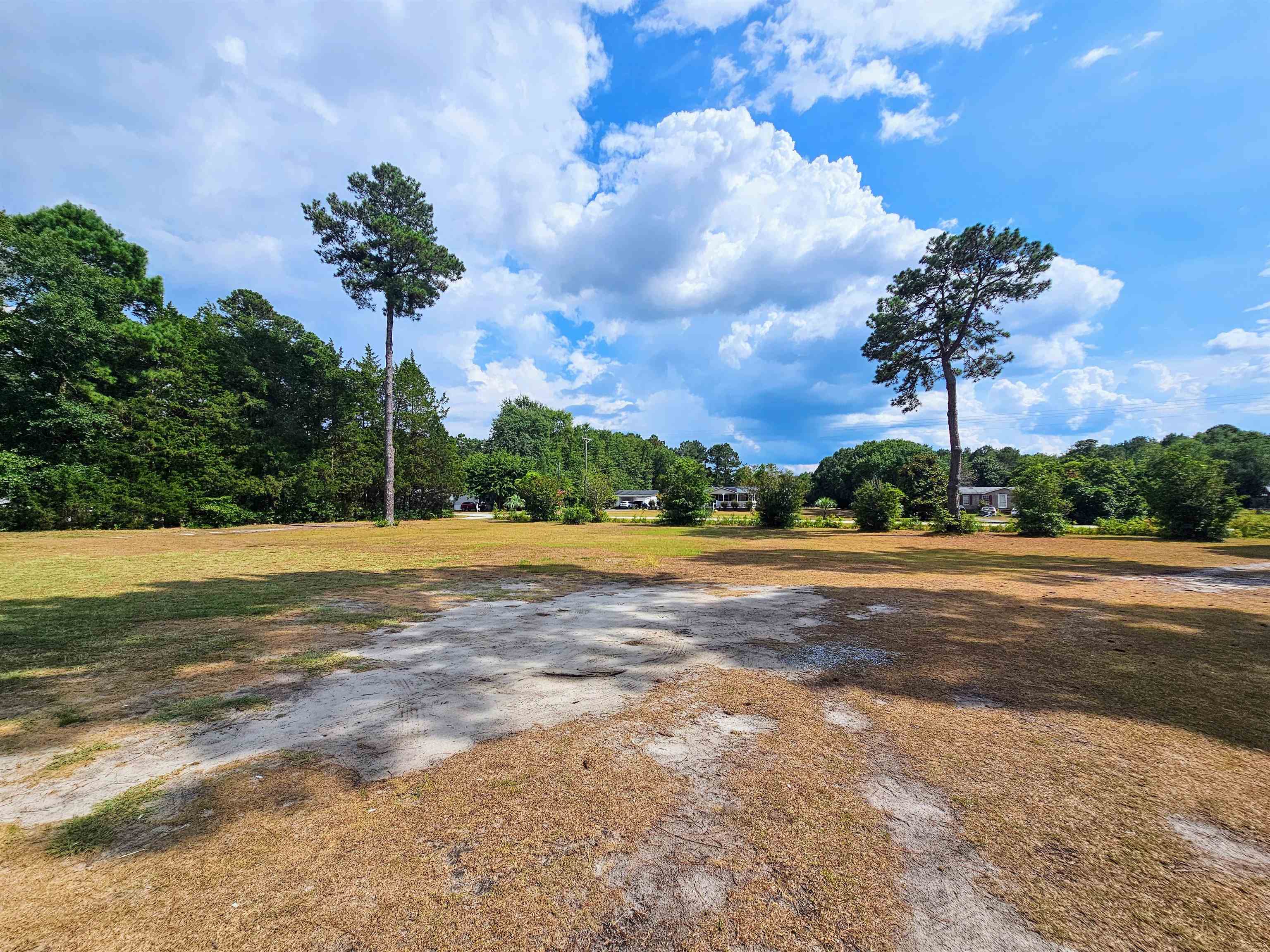 156 Small Road Sellers, SC 29592 - Photo 28 of 32 View of street