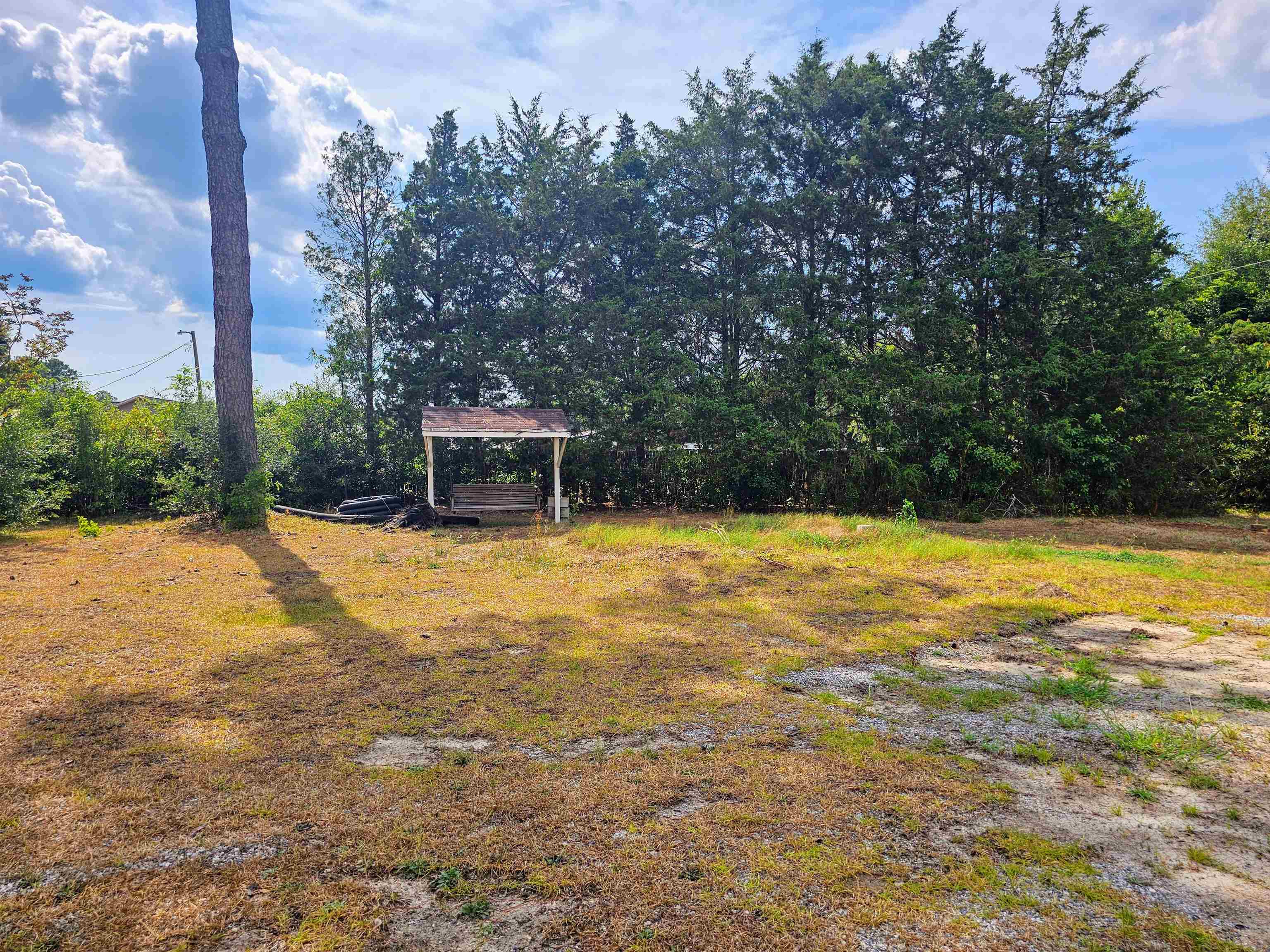 156 Small Road Sellers, SC 29592 - Photo 29 of 32 View of yard