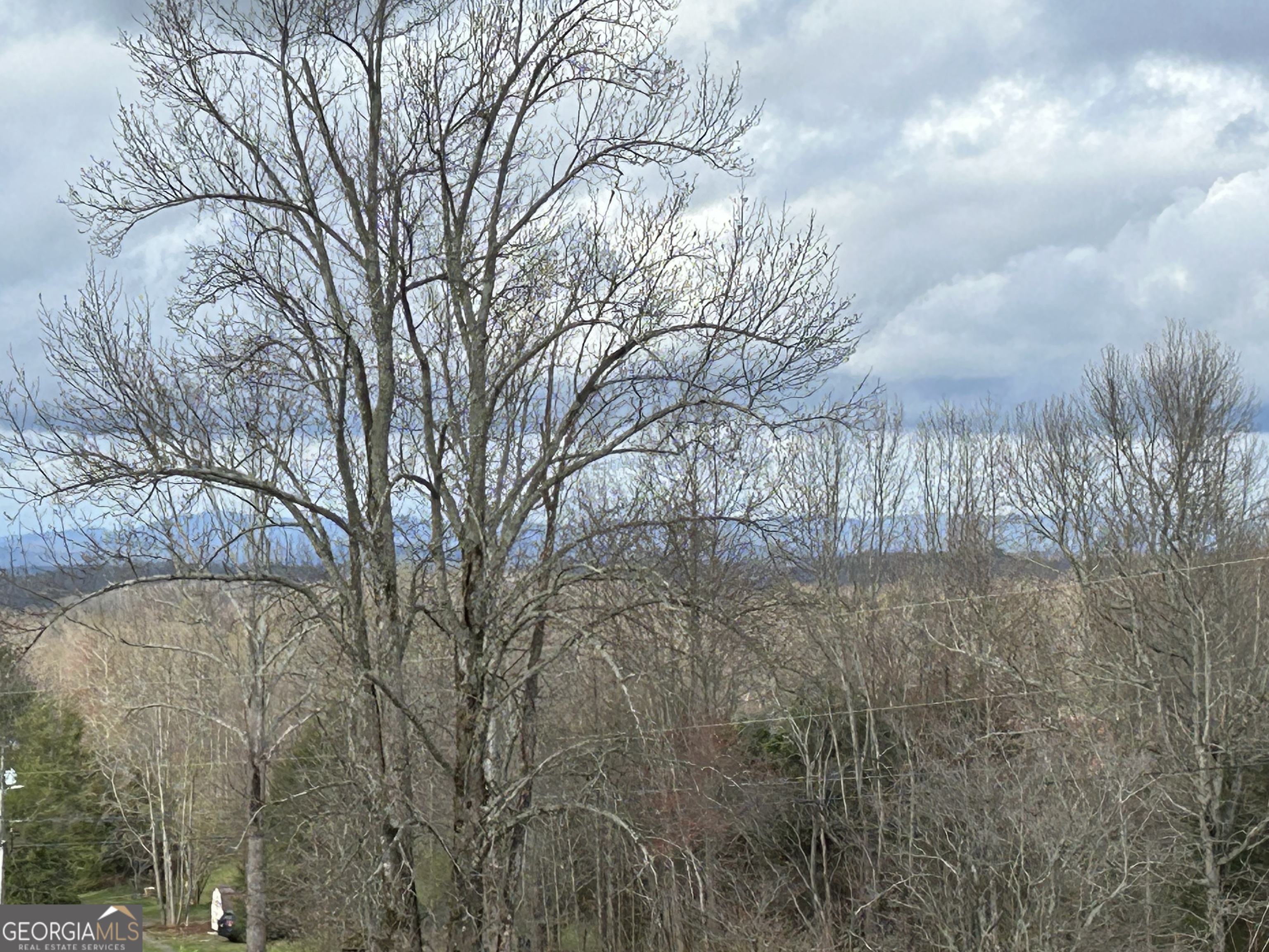 2838 Skitts Mountain Road Cleveland, GA 30528 - Photo 23 of 41 a backyard of a house with lots of green space
