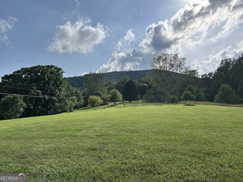 2838 Skitts Mountain Road Cleveland, GA 30528 - Photo 24 of 41 a view of a big yard with potted plants and big trees