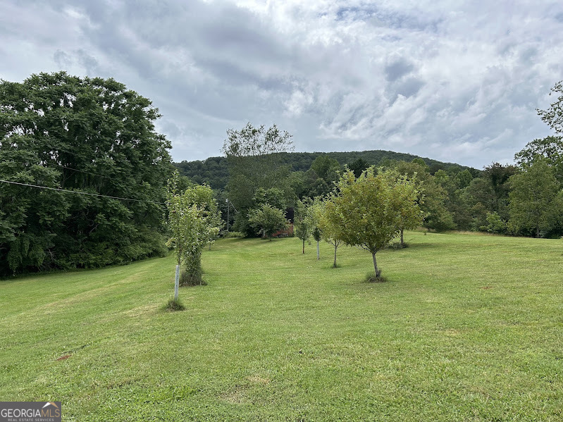 2838 Skitts Mountain Road Cleveland, GA 30528 - Photo 27 of 41 a view of a garden with a tree