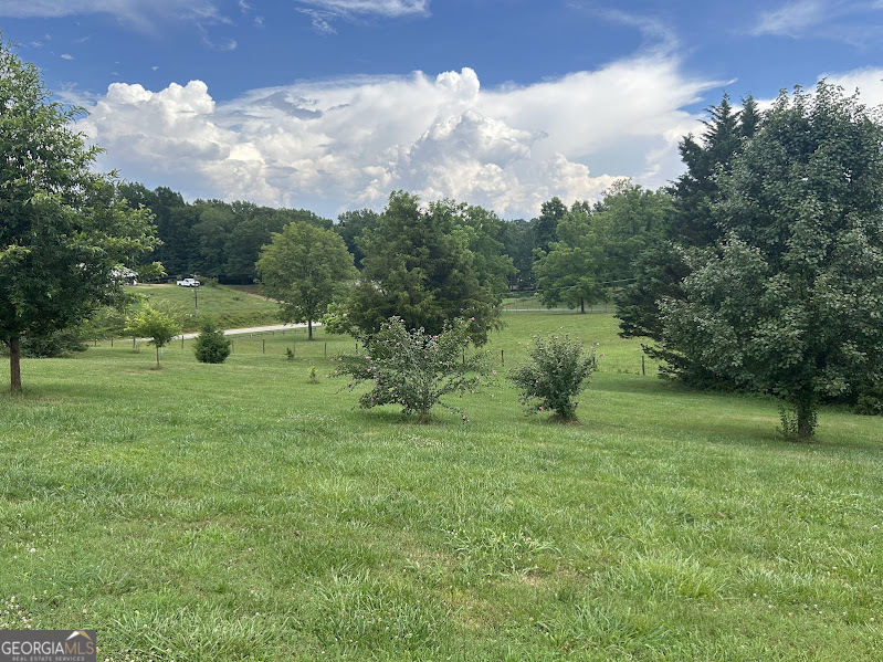 2838 Skitts Mountain Road Cleveland, GA 30528 - Photo 30 of 41 a big yard with lots of green space